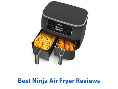 best Ninja Air Fryer Reviews