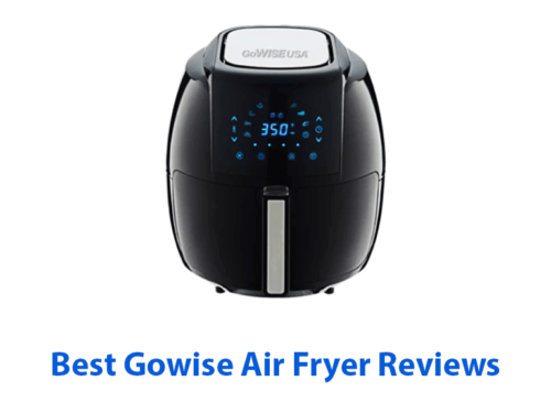 Gowise Air Fryer Review