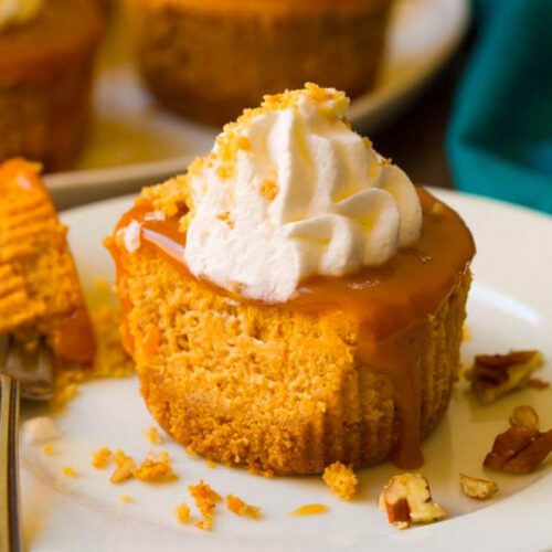mini pumpkin cheesecake bites recipe