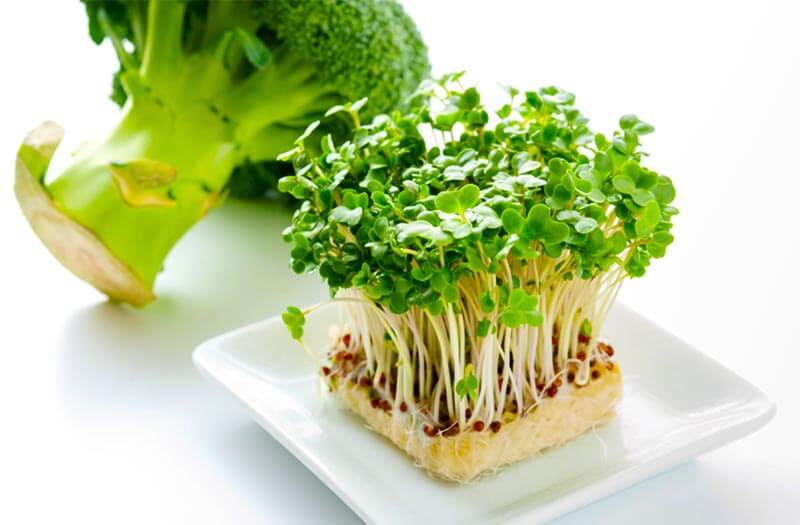 Can You Freeze Broccoli Sprouts