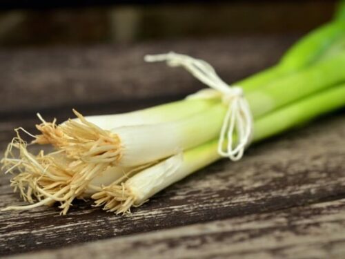 How To Dehydrate Green Onions and Scallions
